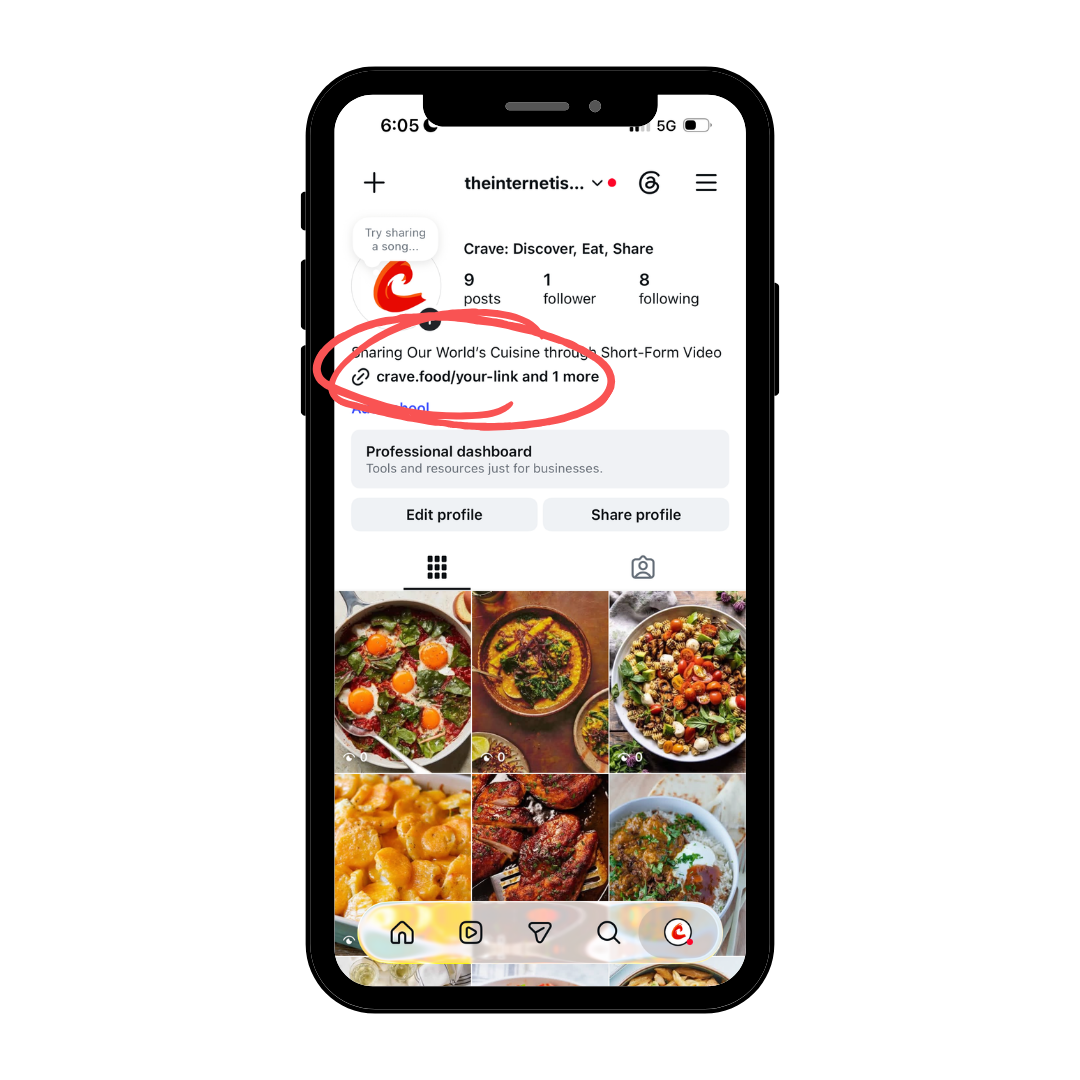 Instagram profile with the crave.food link highlighted in the bio